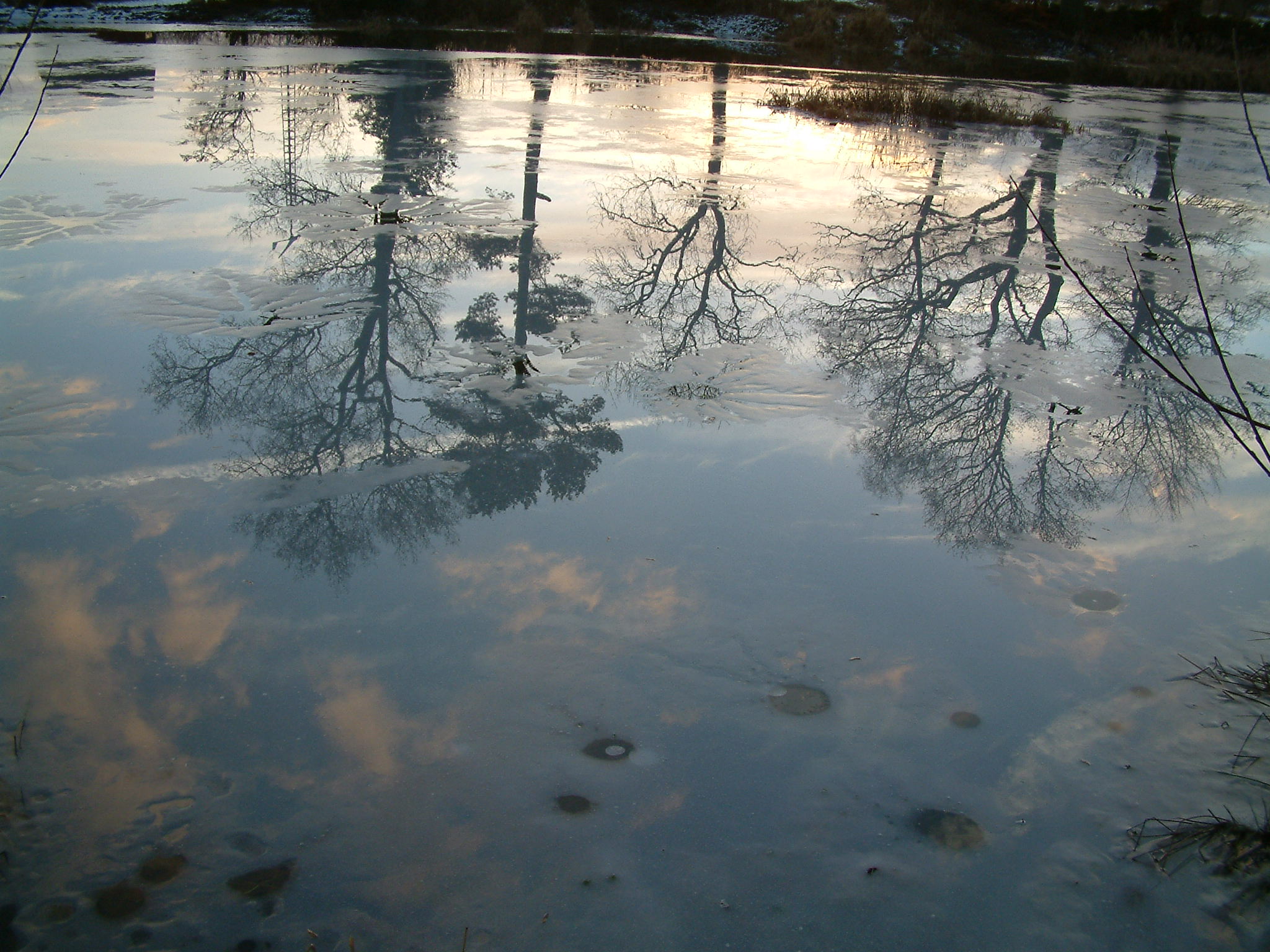 Here’s to hibernation