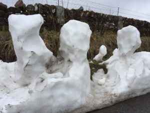Strangely sculptural forms emerging from roadside snowdrifts as the thaw sets in
