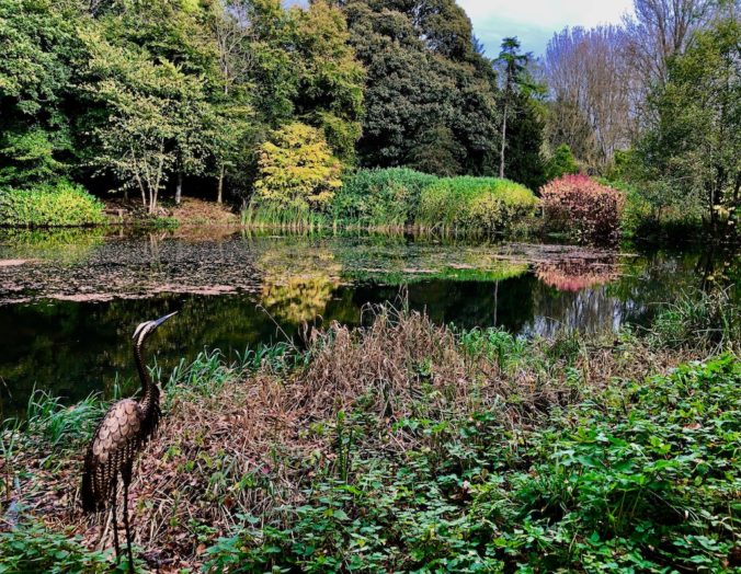 A bronze heron statue seems to stand patiently looking at the autumn colours growing on the pond bank