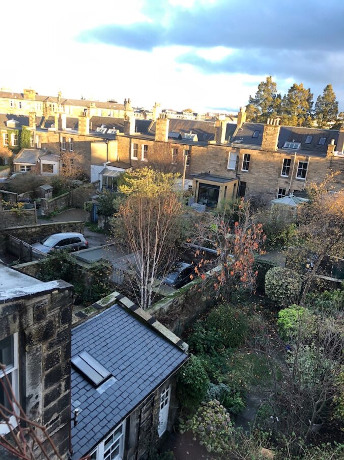 A view of the garden from above: picture Fay Young