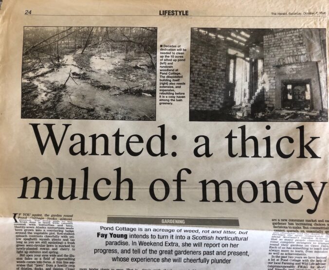 Newspaper cutting from The Herald, start of Fay Young's gardening series in Weekend Extra. Headline 'Wanted: a thick mulch of money'