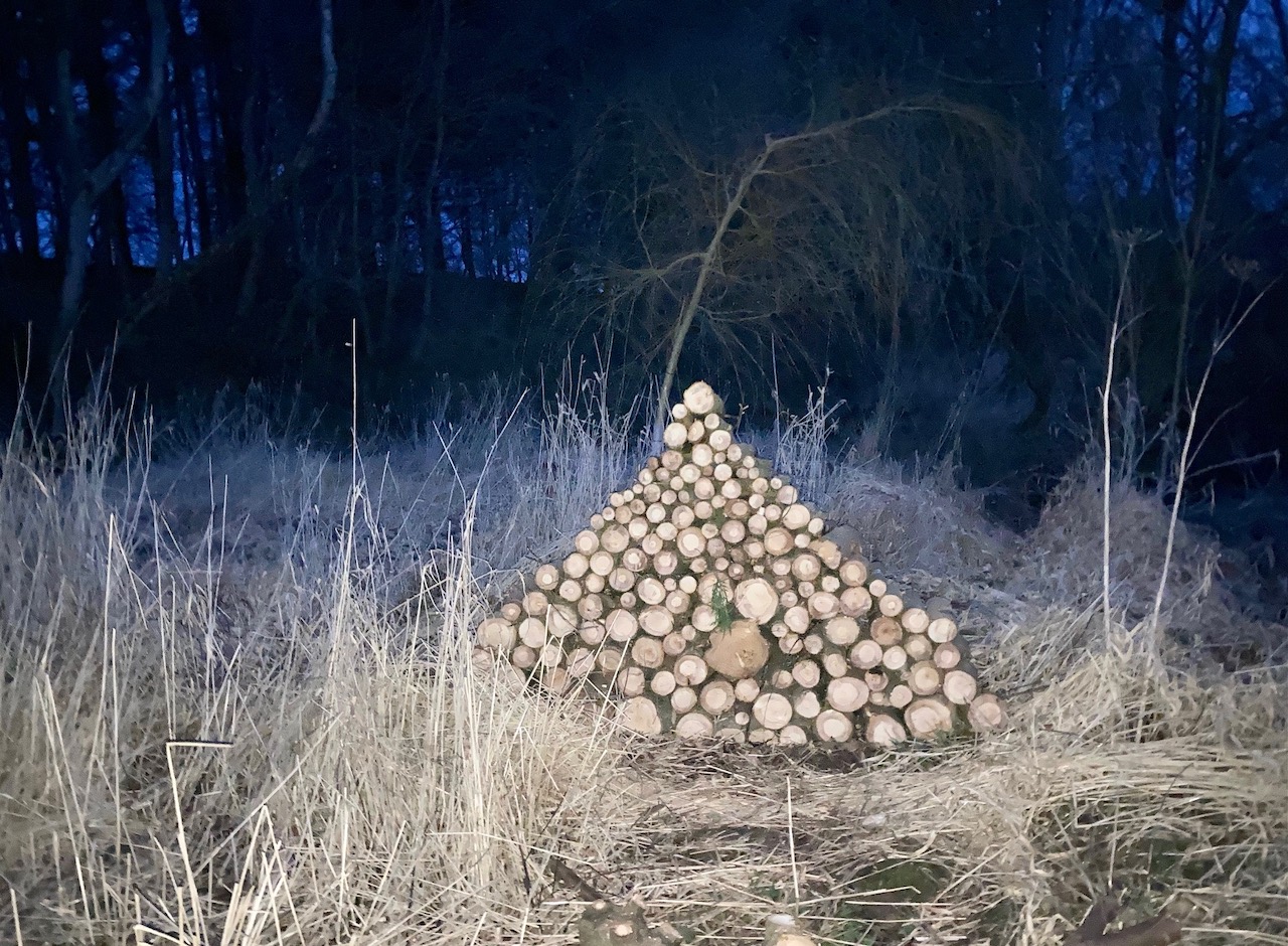 Here’s to a new season of unruly gardening