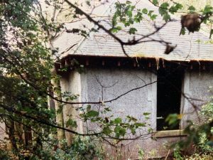 'There was something about the place' The derelict cottage framed by trees and wild roses